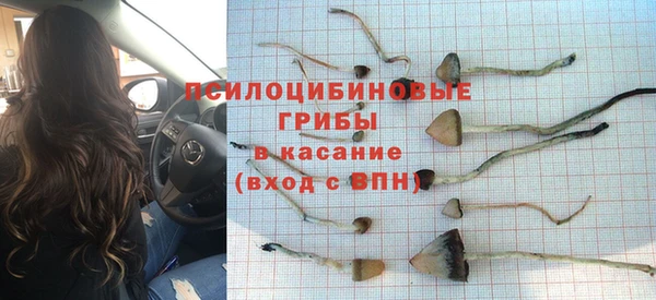 СК Мегион