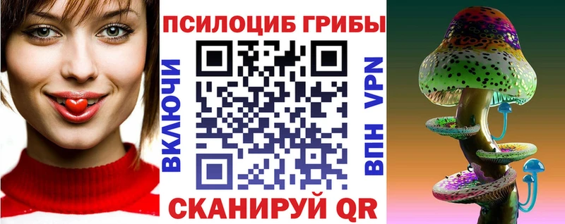 Галлюциногенные грибы Psilocybine cubensis  Купить  Окуловка 