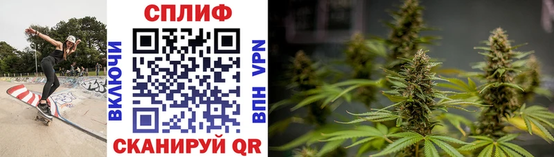 Каннабис гибрид  Купить  Окуловка 